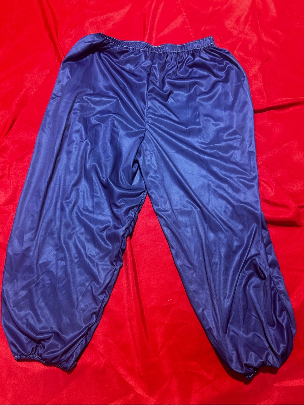 SHEIN Blue Satin Cropped Jogger Pants